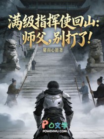 满级指挥使回山：师父，别打了满级指挥使回山：师父，别打了