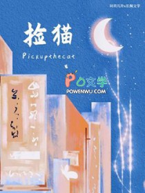 捡猫捡猫